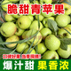 云南昆明團結鄉甜脆青蘋(píng)果新鮮云南特產(chǎn)水果喬納金應季現摘老品種 60mm以下 迷你果 3斤