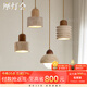 摩燈會(huì)床頭吊燈 臥室小吊線創(chuàng)意個(gè)性裝飾玄關(guān)過道高級(jí)感入戶垂線2025款 A款【三色變光+全光譜護(hù)眼】