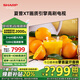 SHARP夏普 75英寸超清4K護眼電視 120HZ高刷智慧語(yǔ)音GL6500A 3+64G智能網(wǎng)絡(luò )液晶平板電視機 75英寸 3+64G內存