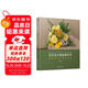 花藝設(shè)計(jì)基礎(chǔ)教科書：花束技法與基礎(chǔ)造型（花藝師精品教程基礎(chǔ)篇 符合國(guó)際標(biāo)準(zhǔn)的商業(yè)花藝入門指南）