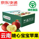 【高原糖心小蘋(píng)果】 云南丑蘋(píng)果 寶寶果2025新鮮現摘整箱水果禮盒 1.5斤野長(cháng)雞蛋蘋(píng)果（單果約50g）