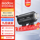 神牛(Godox）DP400/600/800/1000IIIV四代影室閃光燈攝影靜物美食拍照補(bǔ)光燈 DP600IIIV四代標(biāo)配 影室閃光燈
