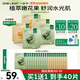 一葉子（One leaf）面膜情人節禮物女補水保濕提亮膚色舒緩修護水潤亮采花果面膜20片