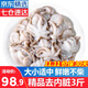 優(yōu)牧冠 八爪魚(yú) 去內(nèi)臟鮮活冷凍迷你小章魚(yú)海鮮軟足類(lèi)夜宵燒烤食材 【免處理】約8-16只* 3斤(凈重)