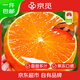 京覓象山紅美人柑橘 凈重4.5斤 單果140g+新鮮愛(ài)媛果凍橙源頭直發(fā)包郵