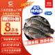 GUO LIAN國聯(lián)水產(chǎn)三去羅非魚(yú)4條共2.8斤凈重非洲鯽魚(yú)水產(chǎn)生鮮食材源頭直發(fā)