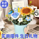 wishwell向日葵針織花束盆栽擺件生日禮物女永生花束送女友閨蜜實(shí)用伴手禮