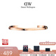 丹尼爾惠靈頓（DanielWellington）dw手鐲 情侶款開(kāi)口可調節經(jīng)典簡(jiǎn)約時(shí)尚手環(huán)飾品 生日禮物送女友 玫瑰金【大號180mm】DW00400001