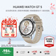 華為（HUAWEI）【七夕情人節(jié)】華為WATCH GT 5手表運(yùn)動(dòng)智能玄璣感知兩周續(xù)航藍(lán)牙通話向日葵定位男女AX智能4pro 46MM蒼山灰【送皮表帶+貼膜】