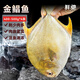 鮮馳 大號金鯧魚(yú)凈重400-500g/條*4條 生鮮魚(yú)類(lèi)-源頭直發(fā)