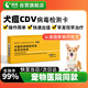 萌格犬瘟CDV熱病毒檢測卡膠體金試紙條 1條/盒 寵物狗狗發(fā)燒嘔吐腹瀉精神不振
