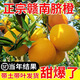 贛南臍橙樹(shù)苗果凍橙子果樹(shù)嫁接砂糖橘果苗當年結果沃柑大桔子盆栽 愛(ài)媛38號果凍橙 四年苗