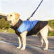 亞禾狗狗衣服保暖防風(fēng)棉服冬季防寒過(guò)冬厚款外套露營(yíng)外衣柴犬柯基靈緹 V字形馬甲【藍色+黑色】 S（建議體重5斤內）