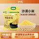 兮域新疆農家食用優(yōu)質(zhì)小米沙漠小米2025優(yōu)選新米袋裝黃金色澤5斤