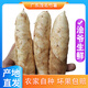 澮爺廣東茂名高州竹薯2026新鮮竹芋冬粉薯涼粉薯火鍋食材 竹薯3斤小果