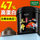 瘋狂水草蘭壽飼料魚(yú)糧/飼料蘭壽金魚(yú)專(zhuān)用飼料魚(yú)食上浮增色高蛋白不渾水