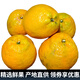 迭果甌柑苦橘子麗水苦柑浙江溫州特產(chǎn)新鮮水果歐柑鷗柑丑橘 5斤 迷你果（1斤7-8個(gè)）