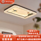 帝贊臥室吸頂燈中古風(fēng)客廳燈現(xiàn)代簡(jiǎn)約大氣全光譜護(hù)眼主燈新中式燈具 【荷葉】咖色-103CM-無(wú)極調(diào)光