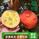 儲褚正宗阿克蘇冰糖心蘋(píng)果新鮮水果應季新疆紅富士整箱禮盒裝順豐包郵 8.5斤大果綠色認證（85-90mm)