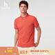 哈吉斯（HAZZYS）男裝 夏款基礎(chǔ)百搭上衣多色日常休閑短袖polo衫男ASTZE0BBE10 橙色OR XL （180/100A 50）