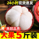 【現貨順豐】現貨山竹新鮮大果水果整箱禮盒裝大果當季孕婦 5斤 6A大果