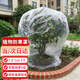 悠梵萌植物防寒保暖罩綠植保溫袋透明塑料膜冬天防凍保護罩1.8m*2m2個(gè)裝