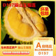 喜得貓特價(jià)D197正宗貓山王榴蓮馬來(lái)西亞進(jìn)口液氮鎖鮮冷凍樹(shù)熟整果帶殼 【壞果包賠 樹(shù)熟液氮】 特價(jià)2.4-3斤（保4房新貨A果）店長(cháng)力薦