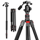 曼比利EP-254L相機三腳架單反攝影攝像手機穩定支架鋁合金微單戶(hù)外旅行輕便攜直播自拍照三角架 EP-254【手柄云臺款】