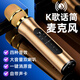 聽(tīng)聲者 K6L無(wú)線(xiàn)藍牙話(huà)筒音響一體麥克風(fēng)家庭ktv專(zhuān)用電視手機k歌戶(hù)外動(dòng)圈麥變聲器大音量唱歌神器練歌 金色 官方標配