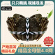 【活蟹】現貨陽(yáng)澄欣權大閘蟹鮮活全母螃蟹全公蟹生鮮水產(chǎn)年貨禮盒 8只 精品全母蟹4.0-3.8