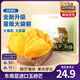 三只松鼠芒果干水果干辦公室零食果干果脯蜜餞休閑食品特產(chǎn)酸甜解饞小吃 【量販裝】芒果干500g