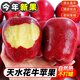 閩域尋鮮花牛蘋(píng)果水果【多地次日達】新鮮高原紅蛇粉面蘋(píng)果輔食蘋(píng)果 精選級：5斤活動(dòng)款（單果60mm+）凈4.5斤