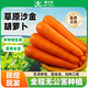 蒙之寶 MON BEAU內蒙帶泥蜜脆沙金胡蘿卜200gx13根左右2.5kg甜脆多汁源頭直發(fā)包郵