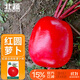 北蔬 蘿卜種子苗秋季大紅豐滿(mǎn)身紅皮白肉蔬菜種籽 紅圓蘿卜種子10g