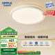 歐普（OPPLE）48瓦吸頂燈客廳臥室燈簡(jiǎn)約護眼智控調光LED燈具18㎡品見(jiàn)III包安裝