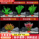 瘋狂水草（FKSC）真水草魚(yú)缸造景套餐凈化水質(zhì)懶人魚(yú)缸水草植物直接入缸蜈蚣草 花紅柳綠組合【適合20-30缸】