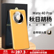 恩彩（ENCAI） 華為mate40pro手機殼鏡頭全包5g防摔保護套真皮手感素皮軟殼男女新款 Mate 40 Pro【秋日胡楊】全包鏡頭