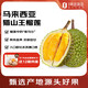 趣嘗鮮貓山王榴蓮馬來(lái)西亞D197液氮冷凍凈重3.2-3.6斤/個(gè)