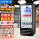 新飛 （Frestec）網(wǎng)紅商用啤酒柜展示柜風(fēng)冷無(wú)霜全屏酒吧冰箱KTV冰柜飲料柜超市酒水柜蛋糕水果保鮮柜 【冷熱兩用】218L風(fēng)冷2℃|熱50℃
