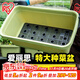 愛(ài)麗思陽(yáng)臺種菜盆種菜箱草莓種植盆長(cháng)條花盆塑料蔬菜種植箱種菜專(zhuān)用盆 【3個(gè)裝】深型700綠色
