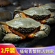 緬甸青蟹鮮活2斤裝海鮮水產(chǎn)醬蟹醉蟹肉蟹處子蟹大螃蟹 TD 90g-120g/只 到手9-11只共2斤
