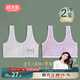 棉奇熊少女內衣發(fā)育期背心第一階段防凸點(diǎn)小學(xué)生女童文胸a類(lèi)棉質(zhì)10-14歲 S912/BX372-2條裝【透氣親膚】 140 【75A 參考體重65-75】