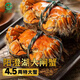 【活蟹】湖塘煙雨 陽(yáng)澄湖大閘蟹鮮活螃蟹禮盒公4.5兩母3.5兩4對8只河蟹生鮮中秋禮盒