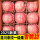 正宗陜西洛川蘋(píng)果水果新鮮當季紅富士冰糖心特級包甜整箱大果 70mm(含)-75mm(不含) 5斤