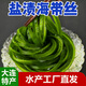 鐸上精品鹽漬海帶絲整箱新鮮大連特產(chǎn)厚長(cháng)絲非即食非干貨涼拌菜火鍋 2.5kg
