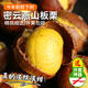 密農人家2025新鮮板栗 生板栗 毛栗子椎栗 生栗子 板栗很甜新油板栗 3斤 頭標板栗 3斤（不帶開(kāi)栗子神器）