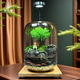 苔蘚微景觀(guān)生態(tài)瓶趣味造景綠植創(chuàng  )意禮物盆栽魚(yú)缸好養活桌面臥室 小貓釣魚(yú)+木質(zhì)底座燈 16*16*22（圓）