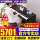 雅馬哈（YAMAHA）電鋼琴YDP145/165進(jìn)口重錘專(zhuān)業(yè)88鍵立式電鋼琴成人兒童初學(xué)考級 YDP145R玫瑰棕色+官方標配+原裝琴凳【耳機禮包】