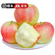 果陸園JD送貨上門(mén)紅富士蘋(píng)果新鮮水果當季現摘早熟冰糖心紅富士小蘋(píng)果 整箱5斤精選75-90MM凈4.5斤
