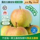 隰縣玉露香梨 【順豐現貨】整箱香梨當季水果山西隰縣小西天特產(chǎn) 孕婦水果送禮 9粒大果（凈重5-6斤）單果80+mm